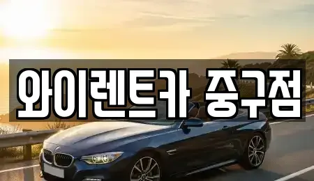 서울특별시 중구 을지로5가 렌트카,단기렌트카,장기렌트카,중고차,중고차매매,중고차매입