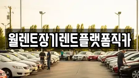 서울특별시 중구 을지로5가 장기렌트카 전문 월렌트장기렌트플랫폼직카