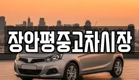 서울특별시 중구 을지로5가 중고차 전문 장안평중고차시장