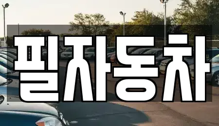 서울특별시 중구 을지로5가 중고차 전문 필자동차
