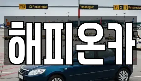 서울특별시 중구 을지로5가 중고차 전문 해피온카