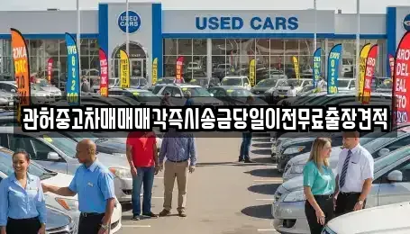 서울특별시 중구 을지로5가 중고차매매 전문 관허중고차매매매각즉시송금당일이전무료출장견적