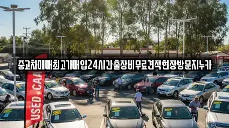 서울특별시 중구 을지로5가 중고차매입 전문 중고차매매최고가매입24시간출장비무료견적현장방문지누카