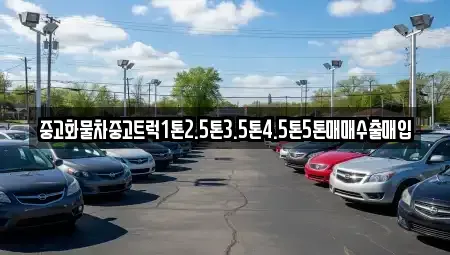 서울특별시 중구 을지로5가 중고차매입 전문 중고화물차중고트럭1톤2.5톤3.5톤4.5톤5톤매매수출매입