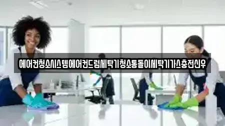 에어컨청소시스템에어컨드럼세탁기청소통돌이세탁기가스충전신우