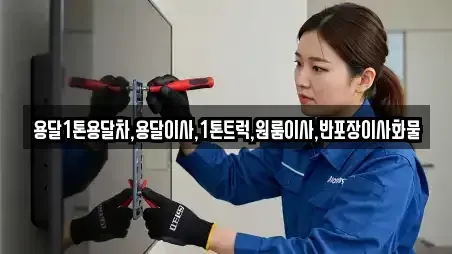광주광역시 동구 광산동 인근 원룸이사 전문 10에 대해서 알아보자