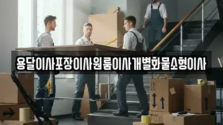 원룸이사 전문 군산시 비응도동 5업체 알아보기