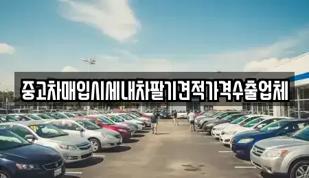 울산광역시 북구 어물동 중고차 전문 중고차매입시세내차팔기견적가격수출업체