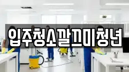 입주청소깔끄미청년