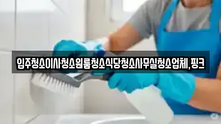 입주청소이사청소원룸청소식당청소사무실청소업체,핑크