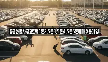 전남 함평군 손불면 중고차,렌트카,중고차매입,중고차매매,장기렌트카,단기렌트카