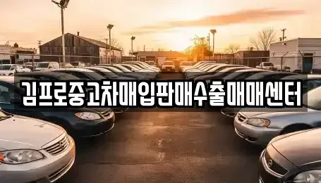 전북특별자치도 전주시 완산구 남노송동 중고차 전문 김프로중고차매입판매수출매매센터