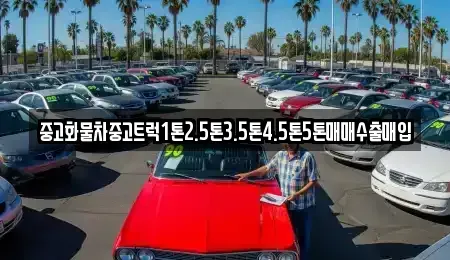 전북특별자치도 전주시 완산구 남노송동 중고차 전문 중고화물차중고트럭1톤2.5톤3.5톤4.5톤5톤매매수출매입