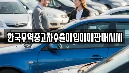 전북특별자치도 전주시 완산구 남노송동 중고차 전문 한국무역중고차수출매입매매판매시세