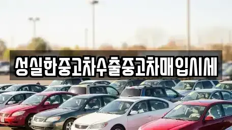 전북특별자치도 전주시 완산구 남노송동 중고차매입 전문 성실한중고차수출중고차매입시세