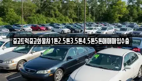 전북특별자치도 정읍시 송산동 중고차매매,단기렌트카,중고차매입,장기렌트카,중고차,렌트카