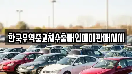 전북특별자치도 정읍시 송산동 중고차매매 전문 한국무역중고차수출매입매매판매시세