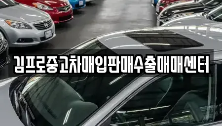 제주특별자치도 서귀포시 서호동 중고차 전문 김프로중고차매입판매수출매매센터