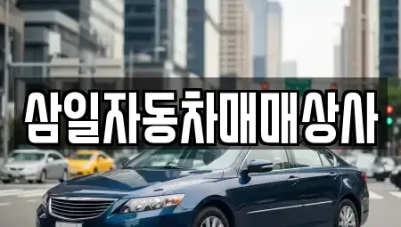 제주특별자치도 서귀포시 서호동 중고차 전문 삼일자동차매매상사