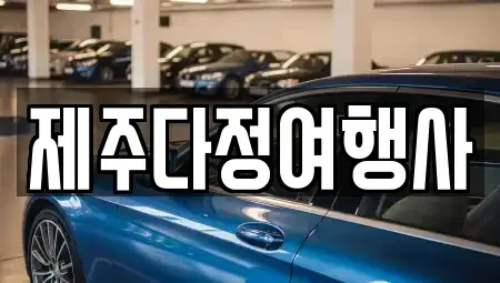 제주특별자치도 제주시 일도일동 렌트카 전문 제주다정여행사