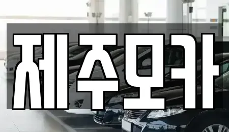 제주특별자치도 제주시 일도일동 렌트카 전문 제주모카