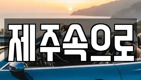 제주특별자치도 제주시 일도일동 렌트카 전문 제주속으로