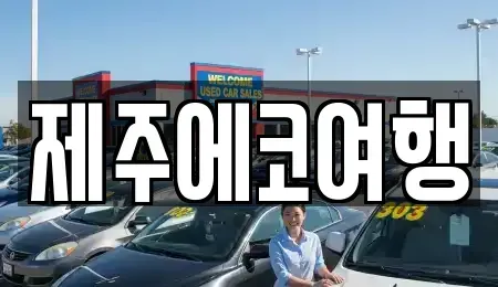 제주특별자치도 제주시 일도일동 렌트카 전문 제주에코여행