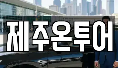 제주특별자치도 제주시 일도일동 렌트카 전문 제주온투어