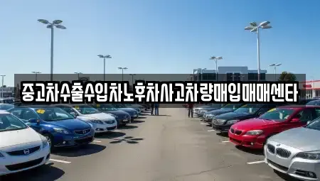 제주특별자치도 제주시 일도일동 중고차 전문 중고차수출수입차노후차사고차량매입매매센타