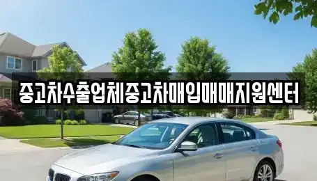 제주특별자치도 제주시 일도일동 중고차 전문 중고차수출업체중고차매입매매지원센터