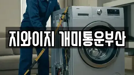 지와이지 개미통운부산