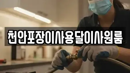 천안포장이사용달이사원룸