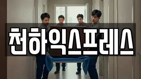 천하익스프레스