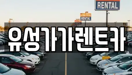 충남 논산시 연산면 렌트카 전문 유성가가렌트카