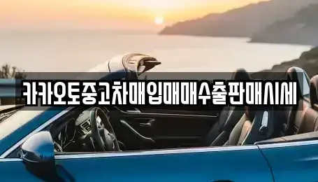 충남 논산시 연산면 중고차 전문 카카오토중고차매입매매수출판매시세