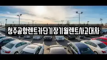 충북 청주시 흥덕구 석곡동 단기렌트카,중고차매입,중고차매매,중고차,렌트카,장기렌트카