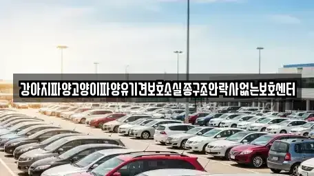충청남도 부여군 충화면 중고차 전문 강아지파양고양이파양유기견보호소실종구조안락사없는보호센터
