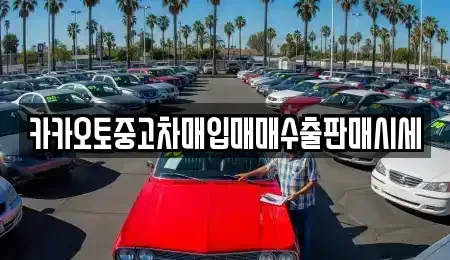 충청남도 부여군 충화면 중고차 전문 카카오토중고차매입매매수출판매시세
