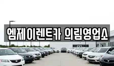 충청북도 제천시 신월동 렌트카 전문 엠제이렌트카 의림영업소