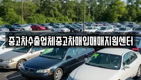 충청북도 제천시 신월동 중고차매입 전문 중고차수출업체중고차매입매매지원센터
