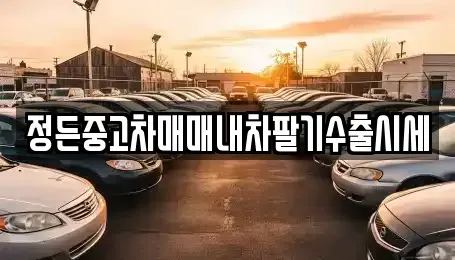 충청북도 충주시 동량면 중고차매매 전문 정든중고차매매내차팔기수출시세