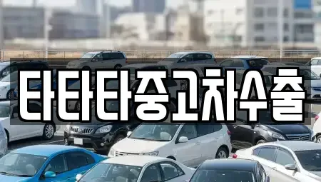 충청북도 충주시 동량면 중고차매매 전문 타타타중고차수출