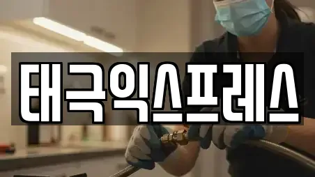 태극익스프레스