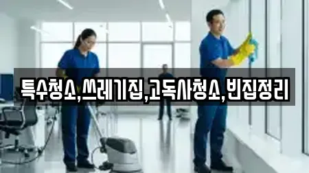 특수청소,쓰레기집,고독사청소,빈집정리
